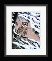 Great Horned Owl In Winter Fine Art Print