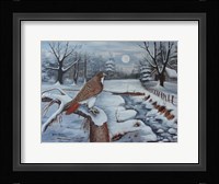 The Red Tailed Hawk Framed Print
