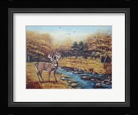 Monarch Fine Art Print