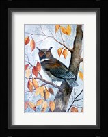Owl and Autumn Leaves Fine Art Print