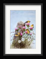 American Goldfinch Fine Art Print