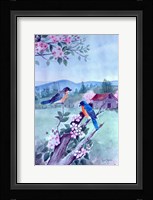 Bluebirds and Apple Blossoms Fine Art Print