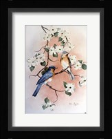 Bluebirds and Dogwood Fine Art Print