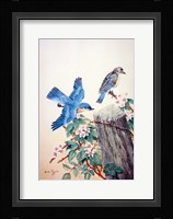 Bluebirds Fine Art Print