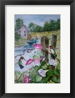 Hummingbirds Fine Art Print