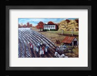 The Lincoln Cotton Field Fine Art Print