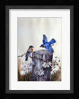 Bluebirds With Daisies 3 Fine Art Print