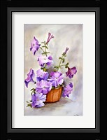 Petunia Framed Print