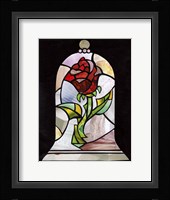 Beautyrose Framed Print