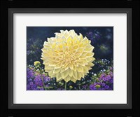 Flower Power I Fine Art Print