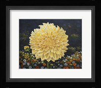 Flower Power II Framed Print