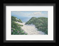 Herring Cove Dunes Fine Art Print