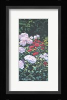 Rosey Morning Fine Art Print