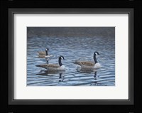 Spring Break Fine Art Print