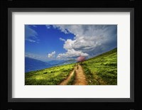 Perseverence Fine Art Print