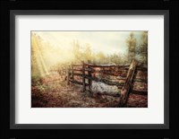 Wood Fences In The Fog Fine Art Print
