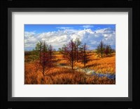 Glades Evening Shadows Fine Art Print