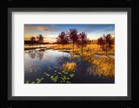 The Everglades at Dusk Fine Art Print