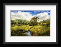 Willow in Early Autumn Fine Art Print