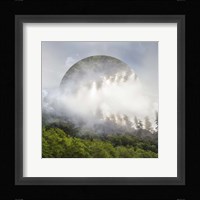 Circle of Life Fine Art Print