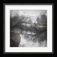 Reaching Fine Art Print
