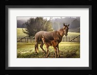 Love Me Tender Fine Art Print
