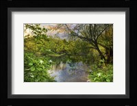 Magnolia Overlook in Summer Fine Art Print