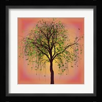 Summer Sizzle Framed Print