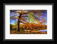 I Will Wait for You in Fall Fine Art Print