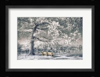 I Will Wait for You in Winter Framed Print