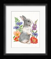 Sunny Bunny IV FB Framed Print