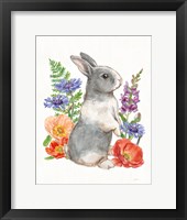Sunny Bunny IV FB Framed Print