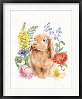 Sunny Bunny I FB Fine Art Print