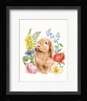 Sunny Bunny I FB Framed Print