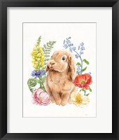 Sunny Bunny I FB Framed Print
