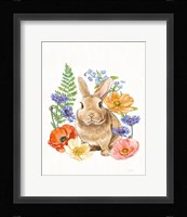 Sunny Bunny II FB Framed Print