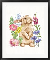 Sunny Bunny III FB Fine Art Print