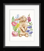Sunny Bunny III FB Framed Print