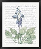 Summer Botanicals II Fine Art Print