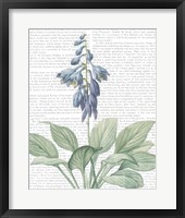 Summer Botanicals II Framed Print