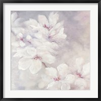 Cherry Blossoms Square Fine Art Print