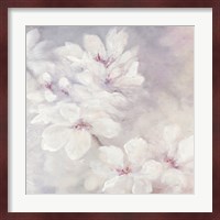 Cherry Blossoms Square Fine Art Print
