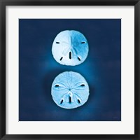 Cyanotype Sea IV Fine Art Print