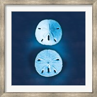 Cyanotype Sea IV Fine Art Print