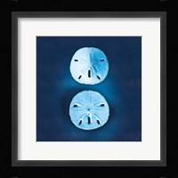 Cyanotype Sea IV Framed Print