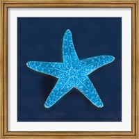 Cyanotype Sea III Fine Art Print