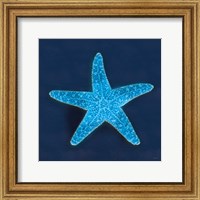 Cyanotype Sea III Fine Art Print