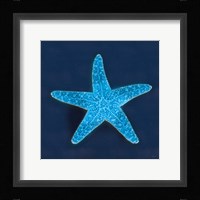 Cyanotype Sea III Framed Print
