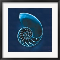 Cyanotype Sea II Fine Art Print
