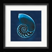 Cyanotype Sea II Framed Print